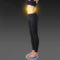 Electronic Calorie Count Fitness Massage Magnet Waist Twister Plate. 