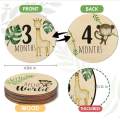 7x Baby Milestone Cards Round Wooden Monthly Cards for Home Table Decoration. 