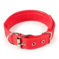Medium Dog Collar Adjustable Soft Nylon Padded Cushion Necklace Pet Puppy Dog Belt Blue Black Red Green Collars Safety Dogs Belt Dog Strap Accessory Metal Buckle Pets Dog Chain Dogs Sale Sri Lanka Dogs Sale Strip Lanka Dogs Sell Pets Dog Sale. 