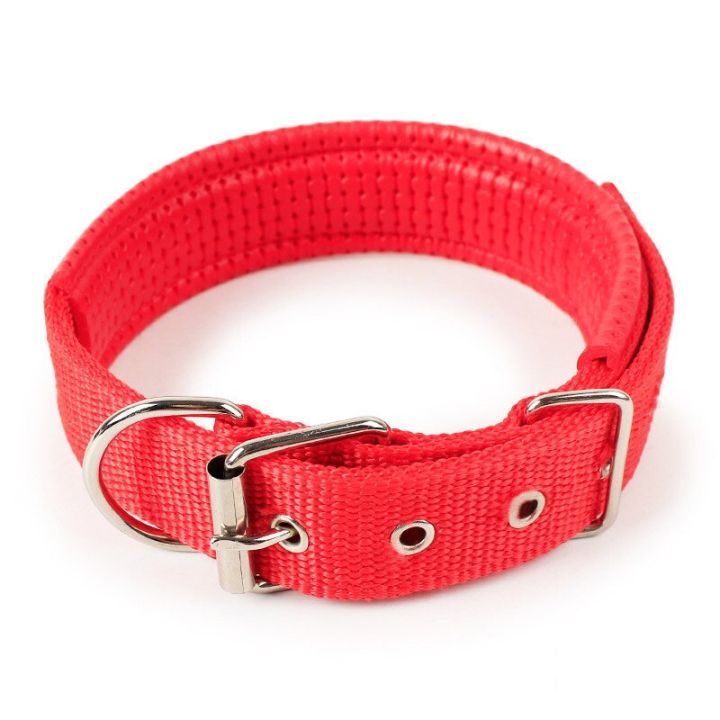 Medium%20Dog%20Collar%20Adjustable%20Soft%20Nylon%20Padded%20Cushion%20Necklace%20Pet%20Puppy%20Dog%20Belt%20Blue%20Black%20Red%20Green%20Collars%20Safety%20Dogs%20Belt%20Dog%20Strap%20Accessory%20Metal%20Buckle%20Pets%20Dog%20Chain%20Dogs%20Sale%20Sri%20Lanka%20Dogs%20Sale%20Strip%20Lanka%20Dogs%20Sell%20Pets%20Dog%20Sale%20-%20Image%2010
