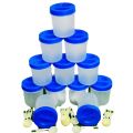 350ml Kitchen Storage Bottle 12 Pcs / Kitchen Containers Beautiful Colours. 