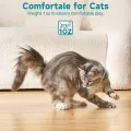 Lovinland Smart Laser Cat Toy Wearable Automatic Teasing Cat Collar USB Charging Collars Interactive Training Kitten. 
