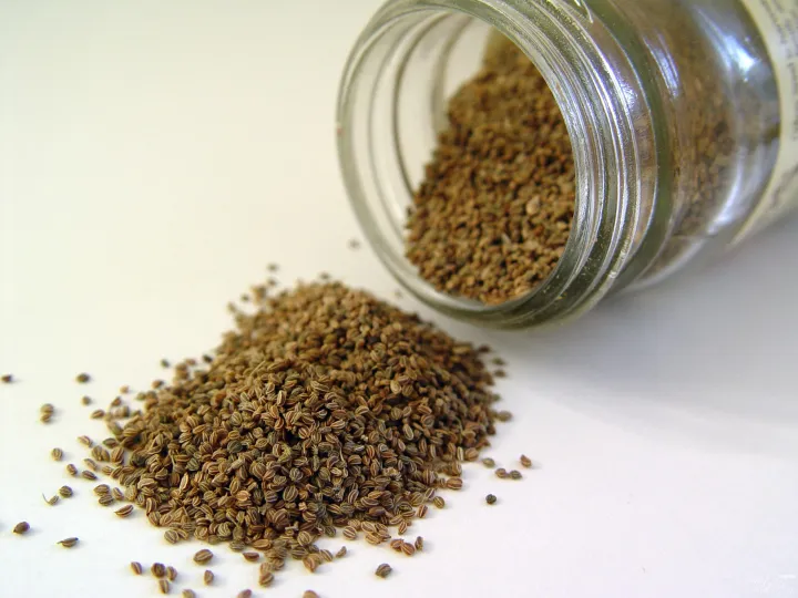 Pure%20Omam%20Seeds%20Ajwan%20/%20Carom%20Seeds%20(%E0%B6%95%E0%B6%B8%E0%B7%8F%E0%B6%B8%E0%B7%8A%20%E0%B6%B6%E0%B7%93%E0%B6%A2)%20100g%20-%20Image%203