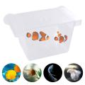 Transparent Clownfish Incubator Shrimp with Suction Cups Fish Baby Hatchery Fish Breeding Box Fish Isolation Box Aquarium Breeder Box. 