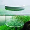 Breeding Box for Guppy , Baby Fishes , Egg 8cmx10cm. 