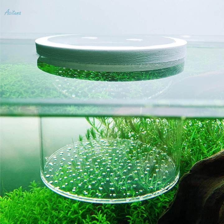 Breeding Box for Guppy , Baby Fishes , Egg 8cmx10cm
