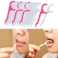 Oral Teeth Clean Care Floss thread Dental Flosser Plastic Tooth Picks 10 pcs. 