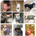 【wholesle668 Store】Cheap Hoodie Winter Pet Dog Clothes for Small Dogs Pets Clothing Warm Dog Coat Jacket Puppy Pet Clothing for Ropa. 