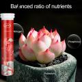 Plant Growth Booster 22pcs Phytonutrients Slow-release Balanced Nutrient Elements for Healthy Growth of Plants Fruits Vegetables Flowers Plant Fertilizer. 
