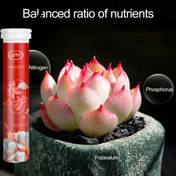 Plant%20Growth%20Booster%2022pcs%20Phytonutrients%20Slow-release%20Balanced%20Nutrient%20Elements%20for%20Healthy%20Growth%20of%20Plants%20Fruits%20Vegetables%20Flowers%20Plant%20Fertilizer%20-%20Image%2010