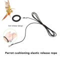 1 PC Multiple Length Options Ultralight Parrot Release Rope Bird Foot Chain Portable Not Hurt Feet Bird Training Rope Bird Outdoor Flying Rope Tool Alloy Foot Ring Pet Bird Harness Pigeon Strap. 