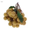 4x Artificial Fruits Longan Photography Props Home Kitchen Cabinet Decor. 