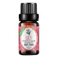 10ml Fragrance Oil Long Lasting Water Soluble Plant Extract Flower Natural Aromas Essential Oil for Diffuser Humidifier. 