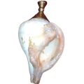 Sri Lankan Traditional Hakgediya Blowing Conch Shell with Brass Mouthpiece | Hakgediya (හක්ගෙඩිය) Large Sea Mollusk Shell Trumpet | Cultural Instrument for Festivals, Weddings & Auspicious Ceremonies | Traditional Blowing Conch Shell. 