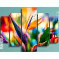 Five (5)Pieces Modern HD Printed Home Decor Wall Art Picture Frame - Abstract Flowers. 