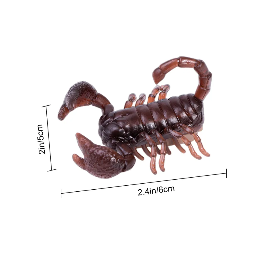 Electronic Crawling Insect Toy Realistic Simulated Cockroach Toy Fun Prank  Vibration Insect Toy for Simulated Cockroach Prank Toy | Daraz.lk
