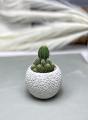 Concrete Pot Cactus & Succulent Cement Planter Unique Square and Round Design Garden Home Decor Gift Pot Indoor Plant Pot Flower Vase Cement Pots Planter for Indoor and Outdoor. 