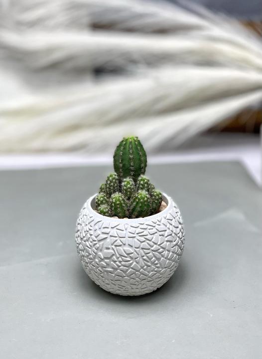 Concrete%20Pot%20Cactus%20&%20Succulent%20Cement%20Planter%20Unique%20Square%20and%20Round%20Design%20Garden%20Home%20Decor%20Gift%20Pot%20Indoor%20Plant%20Pot%20Flower%20Vase%20Cement%20Pots%20Planter%20for%20Indoor%20and%20Outdoor%20-%20Image%208