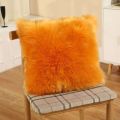 Cushion Covers Faux Fur Fluffy Worm Double Side Sofa Pillow Covers Soft Beautiful. 