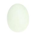 ALLOYSEED Luminous Ball Egg Shape Natural Calcite Glowing Pearl Stones Lucky Stone. 