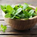 Mint Plant /මින්චි/මින්ට්/ Minchi Plant /Mint /Minchi /Herble/Herb/Plant/Home decor. 