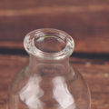 10Pcs/Set Small Glass Bottles Clear Mini Wishing Bottles with Cork Stoppers. 