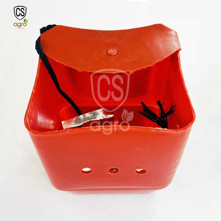 Pheromone%20Red%20Palm%20Weevil%20Trap%20Insect%20Control%20%20%E0%B6%BB%E0%B6%AD%E0%B7%94%20%E0%B6%B4%E0%B7%9C%E0%B6%BD%E0%B7%8A%E0%B6%9A%E0%B7%94%E0%B6%BB%E0%B7%94%E0%B6%B8%E0%B7%92%E0%B6%B1%E0%B7%92%20%E0%B6%8B%E0%B6%9C%E0%B7%94%E0%B6%BD%20-%20Image%203