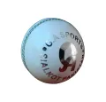 Original Genuine Leather Ball CA Attack & Gray-Nicolls & Wasim Akrm 156g (5 1/2 Oz) Red and White Colours.. 