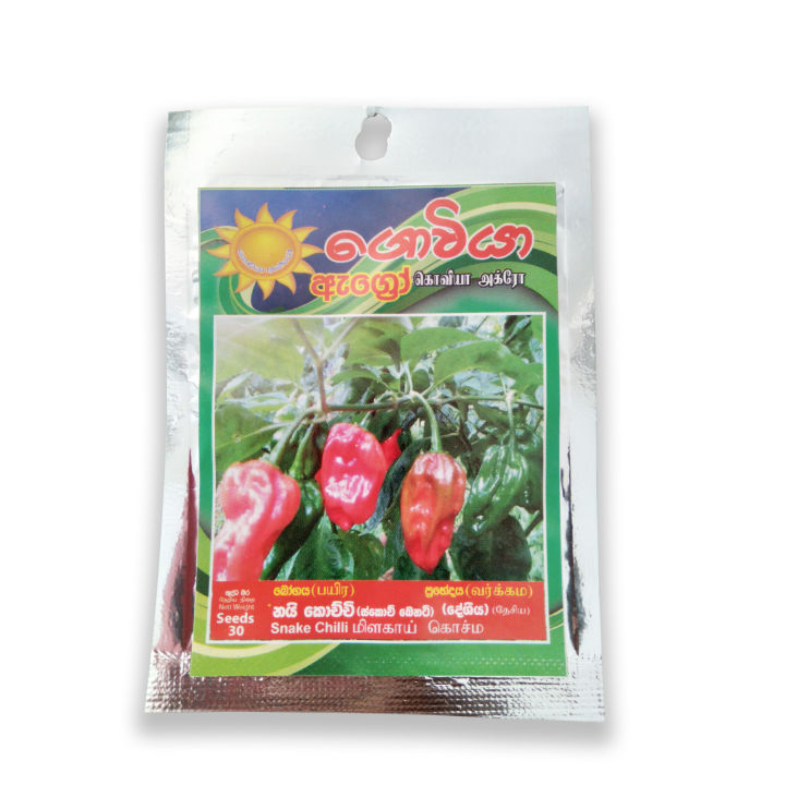 Snake%20Chilli%20Local%20Seeds,%20Nai%20Kochchi%20Beeja,%2030%20Seeds%20-%20Image%202