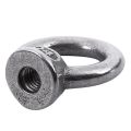 Eye Bolt-2 x Shield Anchor Eye Bolt-Silver. 