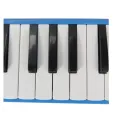 Educational Musical Instrument Colorful 37 Keys Melodica With Plastic Case. 