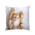 1PC Creative Cute Cartoon Cat Cushion Simple Printed Creative Pattern Throw Cushion Sleeping Bubble Cat Pillowcase Gift Cat Lovers. 