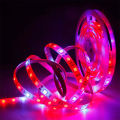 12V 5050 5m LED Strip Grow light Full Spectrum LED Flower Plant Phyto Growth lamp For Greenhouse Hydroponic Plant Growing. 