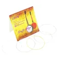 5Pcs/Set BJ11 Banjo String Stainless Steel Coated(.009-.020). 