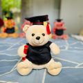 Graduation Teddy 26cm \ Graduation Gift \ University Convocation Gift \ Graduation Bear \ Diploma gift. 