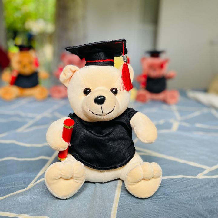 Graduation%20Teddy%2026cm%20%5C%20Graduation%20Gift%20%5C%20University%20Convocation%20Gift%20%5C%20Graduation%20Bear%20%5C%20Diploma%20gift%20-%20Image%205