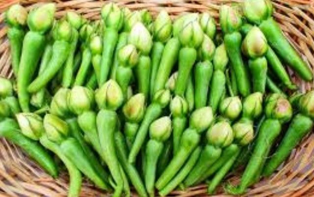 Alanga%20Seeds%20For%20Home%20GARDEN%20-%20Image%206