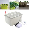 Indoor 6 Holes Hydroponic System Soilless Cultivation Plant Nursery Box Grow Kit. 