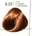 Dreamron Hair Color Kit ( Dreamron Fashion Hair Color 60Ml+ Bleaching Powder 25G+12% Developer 60Ml+ Free Bleaching Brush Double). 