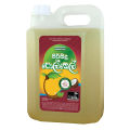 Pure Coconut Oil 5 Liter Can - Cook & Fry පිරිසිදු පොල්තෙල් ලීටර් 5 කෑන් - පිසීමට සහ බැදීමට. 
