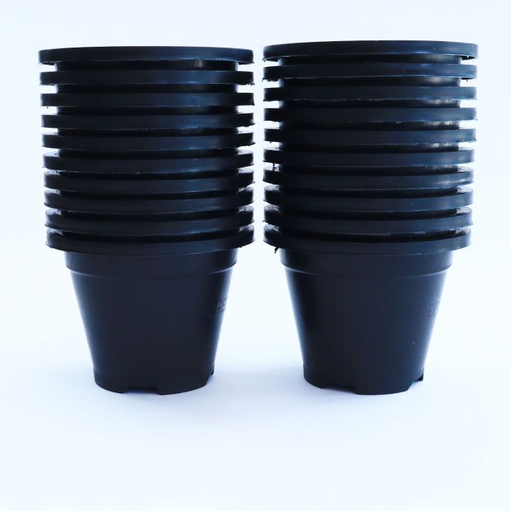 Cactus Plastic Flower Pot 7cm