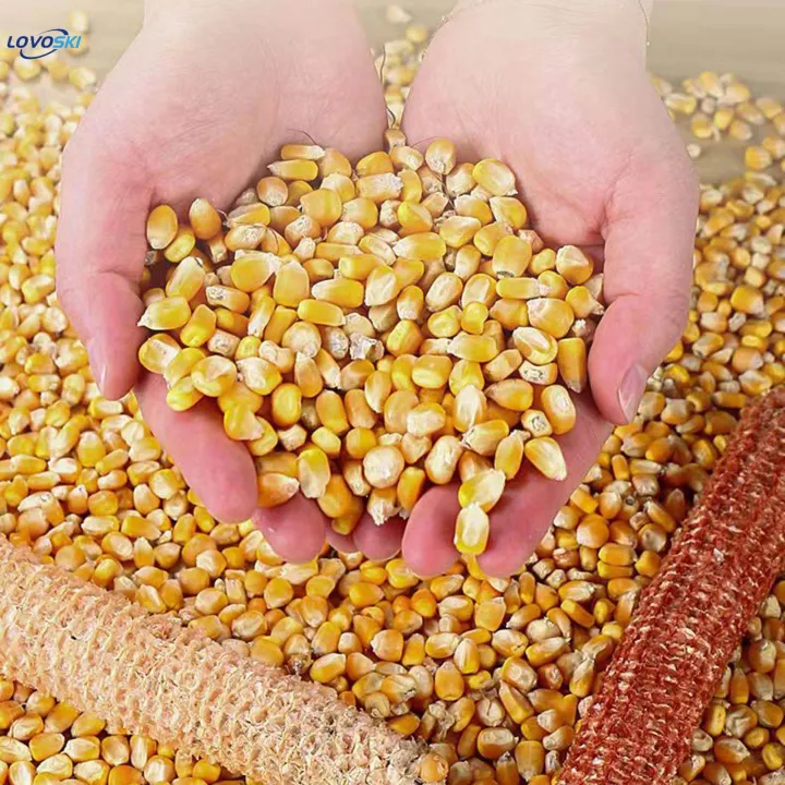 Corn%20Strip%20Thresher,%20Corn%20Thresher%20Strip%20Tool,%20Hand%20Drill%20for%20Popcorn%20Manual%20Multifunction%20Corn%20Peel%20-%20Image%207