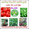 Vegetable Seeds 5Packets. බීජ වර්ග 5 ක්.. 