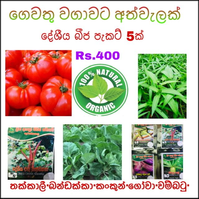 Vegetable Seeds 5Packets. බීජ වර්ග 5 ක්.