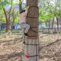 15x Climbing Holds with 5 Ratchet Straps Tree Climbing Training. 