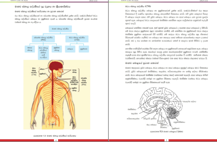 Jeewa%20vidyawa%205ii-10%20Biology%20Resource%20Book%20(G13)%20sinhala%20medium%20(Unit%205ii-10)%20published%20by%20National%20Education%20Institute%20(NIE)%202020%20edition%20-%20Image%203