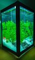 Large glass fish tank (8L Aquarium tank). 