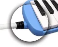Bee 32 Keys Melodica with Box type Hard Case 1 year Warranty - Blue Pink Instrument with Hard Case Mouthpiece Air Piano Soprano Keyboard Melodica with 2 Soft Long Tubes, Short Mouthpieces and Box type Carrying Bag for Kids Beginners Gift, Blue/ Green/Pink. 