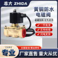 Copper Underwater Fountain Waterproof Solenoid Valve Water Valve Buried Solenoid Electric Valve 220v Switch valve 220 Coil. 