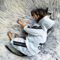 【wholesle668 Store】Pet Clothes French Bulldog Dog Costume Pet Jumpsuit Chihuahua Pug Pets Dogs for Small Medium Dogs Outfit. 